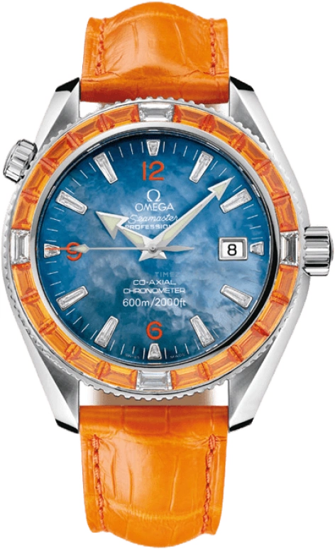 Omega Seamaster Planet Ocean 2913.50.48