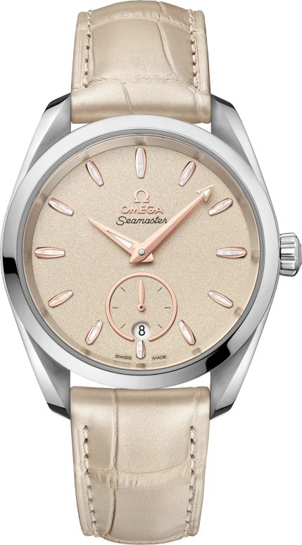 Omega Aqua Terra 220.13.38.20.09.001