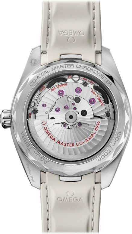 Omega,Aqua Terra 41mm,41mm,Stainless Steel,Silver,Automatic,Date,Co-Axial Escapement,220,220.12.41.21.02.005