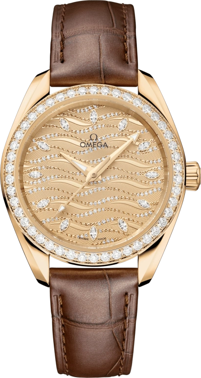 Omega Aqua Terra 220.58.34.20.99.008