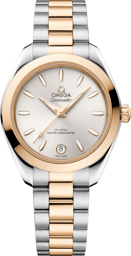 Omega Aqua Terra 220.20.30.20.02.001
