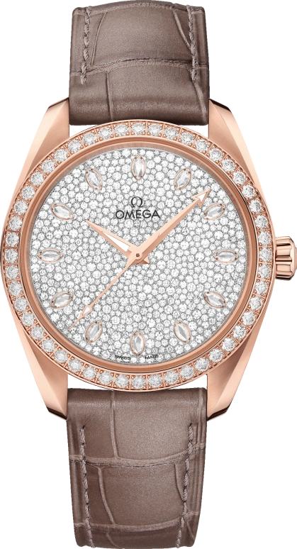 Omega Aqua Terra 220.58.38.20.99.003