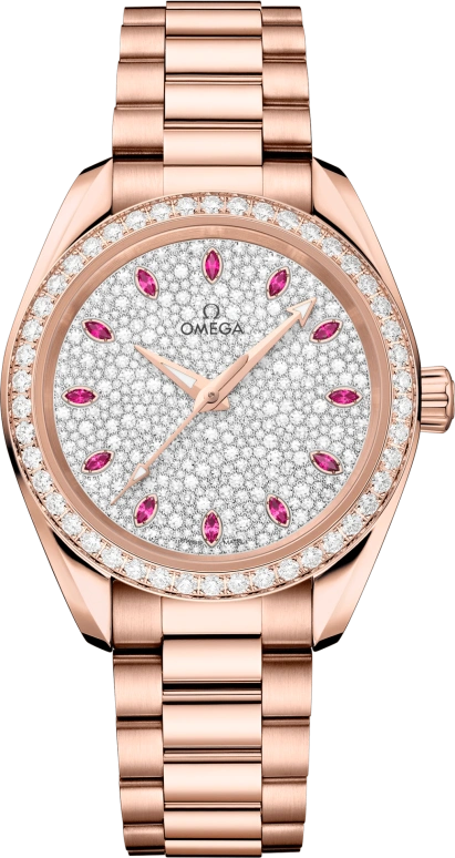 Omega Aqua Terra 220.55.34.20.99.007