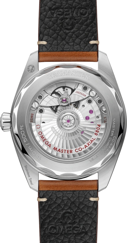 Omega,Railmaster 38mm,38mm,Stainless Steel,Brown,Automatic,Anti-magnetic,55hours,235,235.12.38.20.13.001