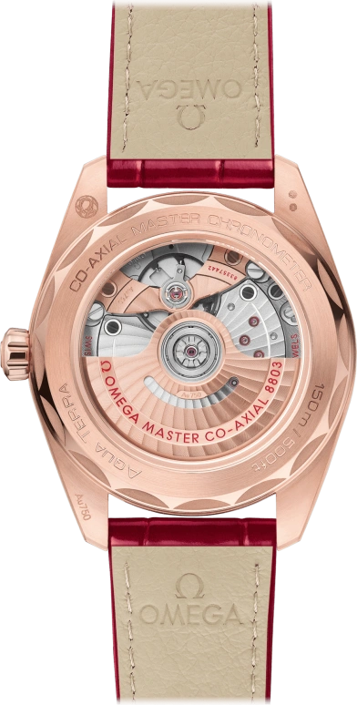 Omega,Aqua Terra 38mm,38mm,Sedna Gold,White,Automatic,Date,Co-Axial Escapement,220,220.58.38.20.55.002