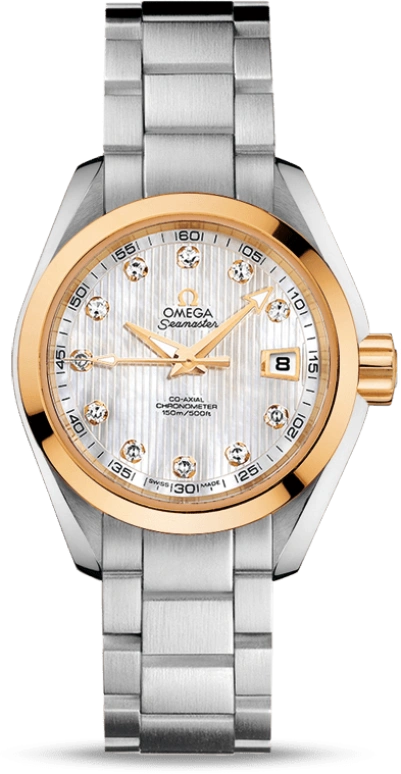 Omega Aqua Terra 231.20.30.20.55.004