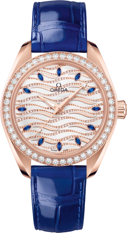 Omega Aqua Terra 220.58.34.20.99.005
