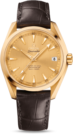 Omega Aqua Terra 231.53.39.21.08.001