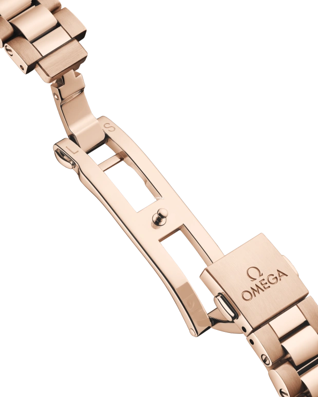 Omega,Aqua Terra 30mm,30mm,Sedna Gold,Burgundy,Automatic,Day,Anti-magnetic,220,220.55.30.20.61.001