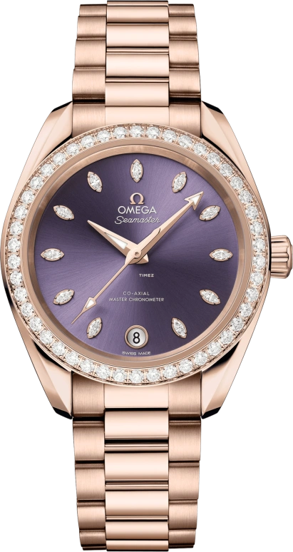 Omega Aqua Terra 220.55.34.20.60.001