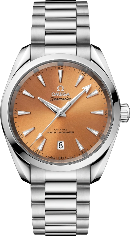 Omega Aqua Terra 220.10.38.20.12.001