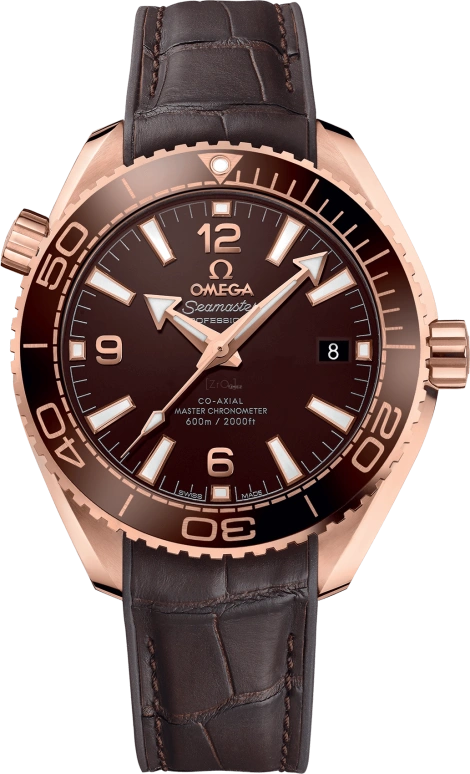 Omega Seamaster Planet Ocean 215.63.40.20.13.001