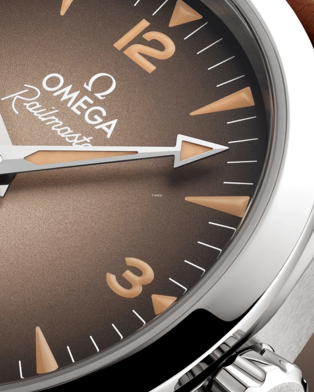 Omega,Railmaster 38mm,38mm,Stainless Steel,Brown,Automatic,Anti-magnetic,55hours,235,235.12.38.20.13.001