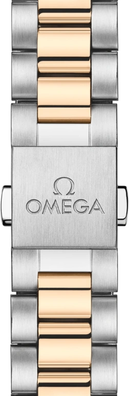 Omega,Aqua Terra 30mm,30mm,Stainless Steel,Moonshine Gold,Silver,Automatic,Day,Anti-magnetic,220,220.20.30.20.02.001
