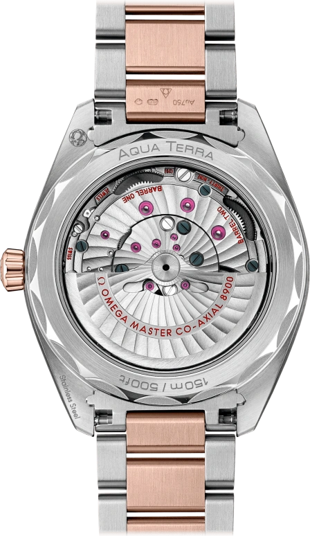Omega,Aqua Terra 41mm,41mm,Sedna Gold,Stainless Steel,Silver,Automatic,Date,Co-Axial Escapement,220,220.20.41.21.02.001