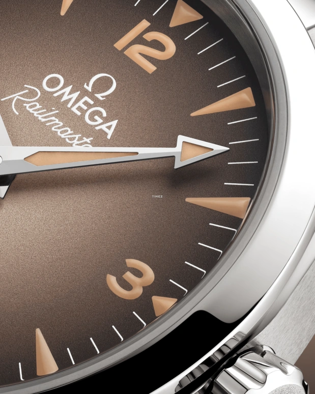Omega,Railmaster 38mm,38mm,Stainless Steel,Brown,Automatic,Anti-magnetic,55hours,235,235.10.38.20.13.001