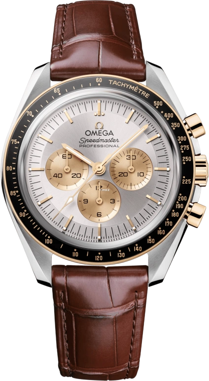 Omega Speedmaster Moonwatch 310.23.42.50.02.001