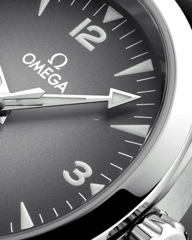 Omega,Railmaster 38mm,38mm,Stainless Steel,Grey,Automatic,Anti-magnetic,55hours,235,235.12.38.20.06.001