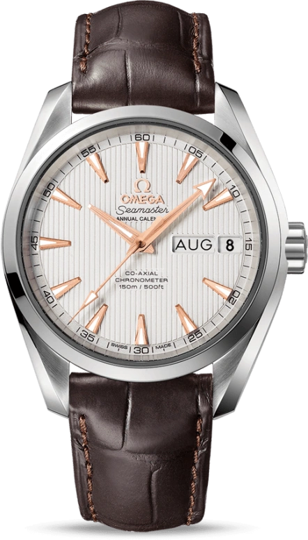 Omega Aqua Terra 231.13.39.22.02.001
