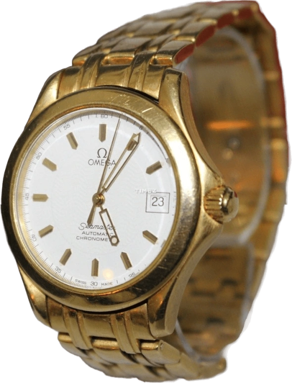 Omega Seamaster 120M 2101.21.00