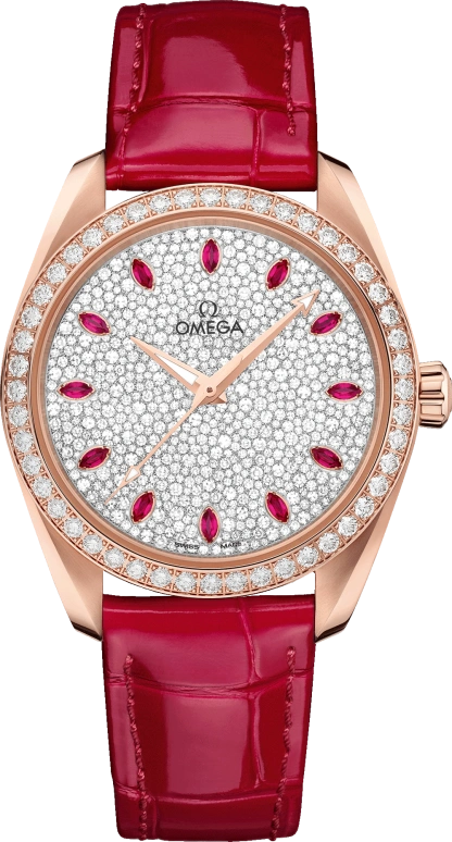Omega Aqua Terra 220.58.38.20.99.001