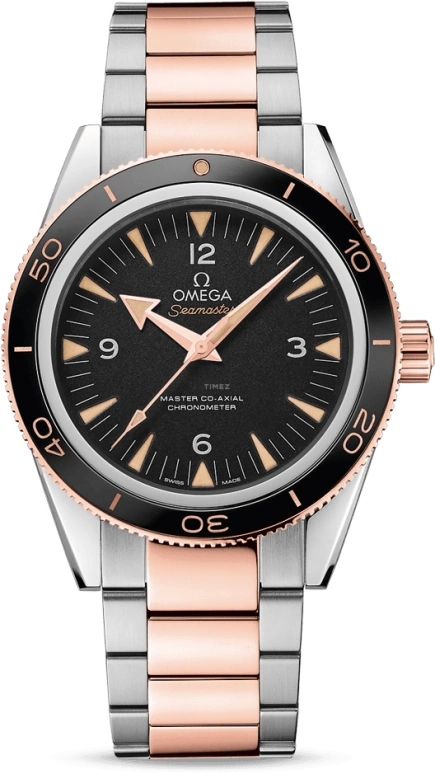 Omega Seamaster 300 233.20.41.21.01.001