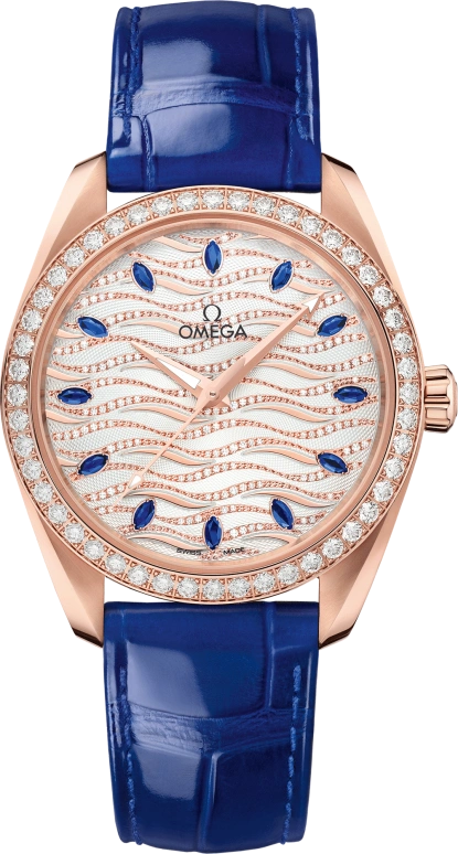 Omega Aqua Terra 220.58.38.20.99.005
