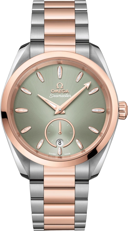 Omega Aqua Terra 220.20.38.20.10.001