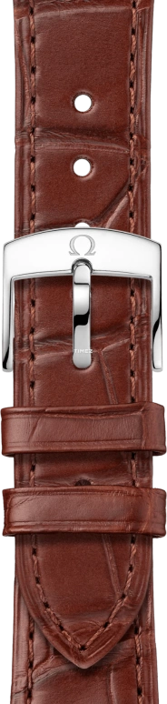 Omega,De Ville 41mm,41mm,Stainless Steel,Sedna Gold,Silver,Automatic,Day,Anti-magnetic,434,434.23.41.20.02.001
