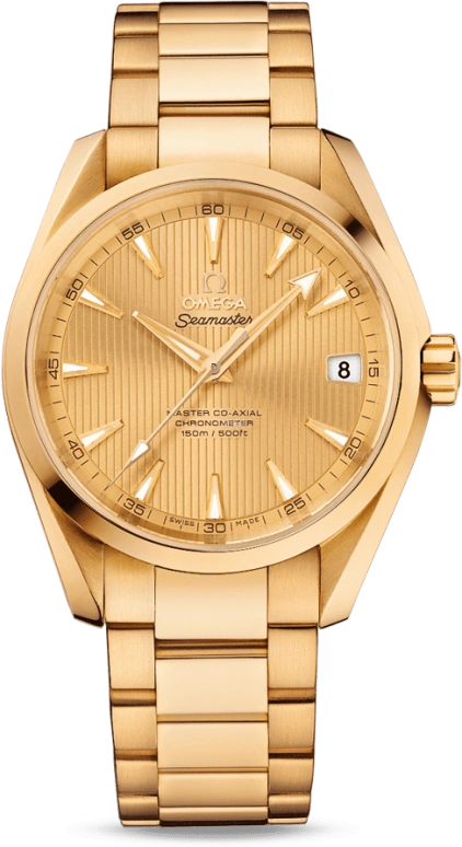 Omega Aqua Terra 231.50.39.21.08.001