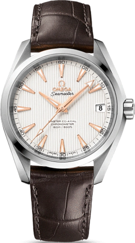 Omega,Aqua Terra 38.50mm,38.50mm,Stainless Steel,Silver,Automatic,Date,Co-Axial Escapement,231,231.13.39.21.02.003