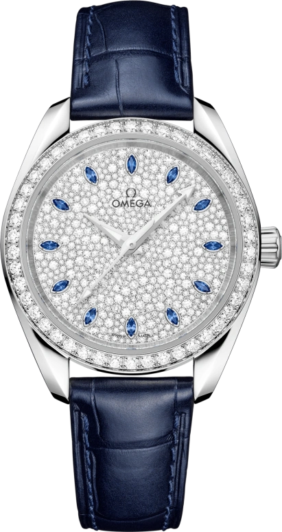 Omega Aqua Terra 220.58.34.20.99.007
