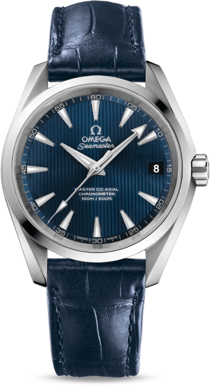 Omega Aqua Terra 231.13.39.21.03.001