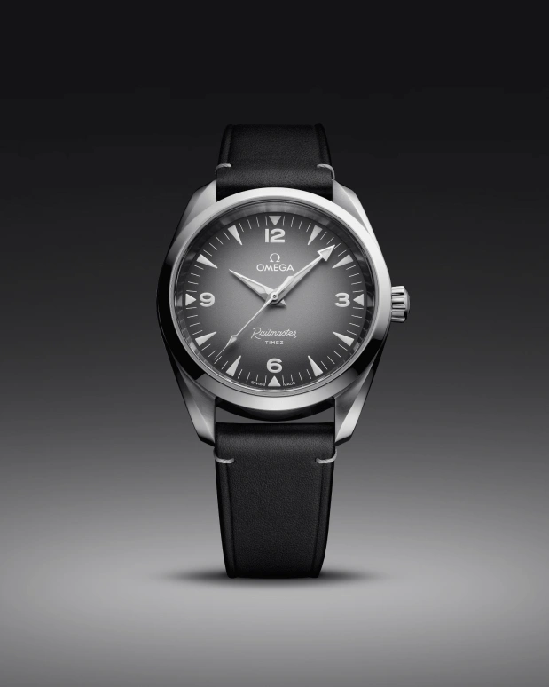 Omega,Railmaster 38mm,38mm,Stainless Steel,Grey,Automatic,Anti-magnetic,55hours,235,235.12.38.20.06.001