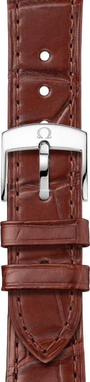 Omega,De Ville 40mm,40mm,Stainless Steel,Silver,Automatic,Day,Co-Axial Escapement,Anti-magnetic,434,434.23.40.20.52.001