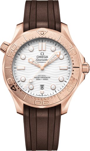 Omega Seamaster 300 210.52.42.20.04.001
