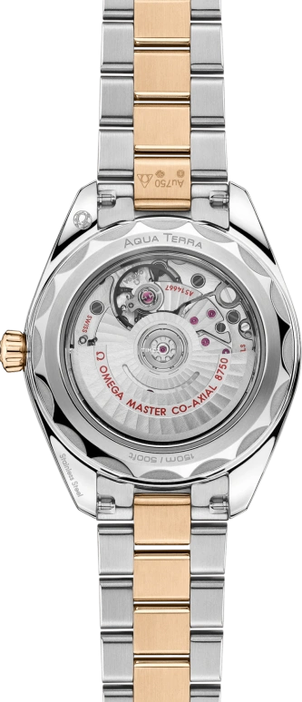 Omega,Aqua Terra 30mm,30mm,Stainless Steel,Moonshine Gold,Silver,Automatic,Day,Anti-magnetic,220,220.20.30.20.02.001