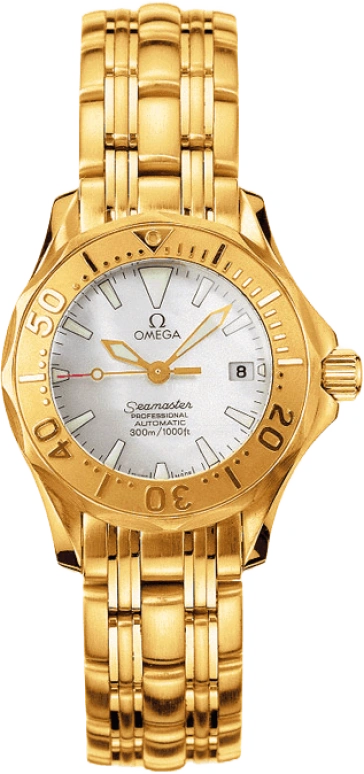 Omega Seamaster Diver 300M 2172.70.00