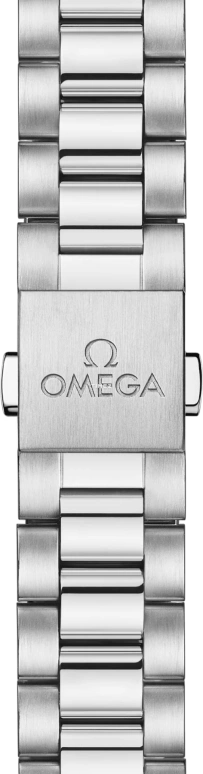 Omega,Railmaster 38mm,38mm,Stainless Steel,Brown,Automatic,Anti-magnetic,55hours,235,235.10.38.20.13.001