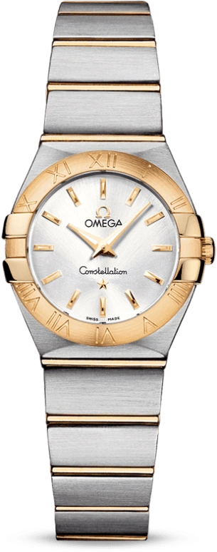 Omega Constellation 123.20.24.60.02.002