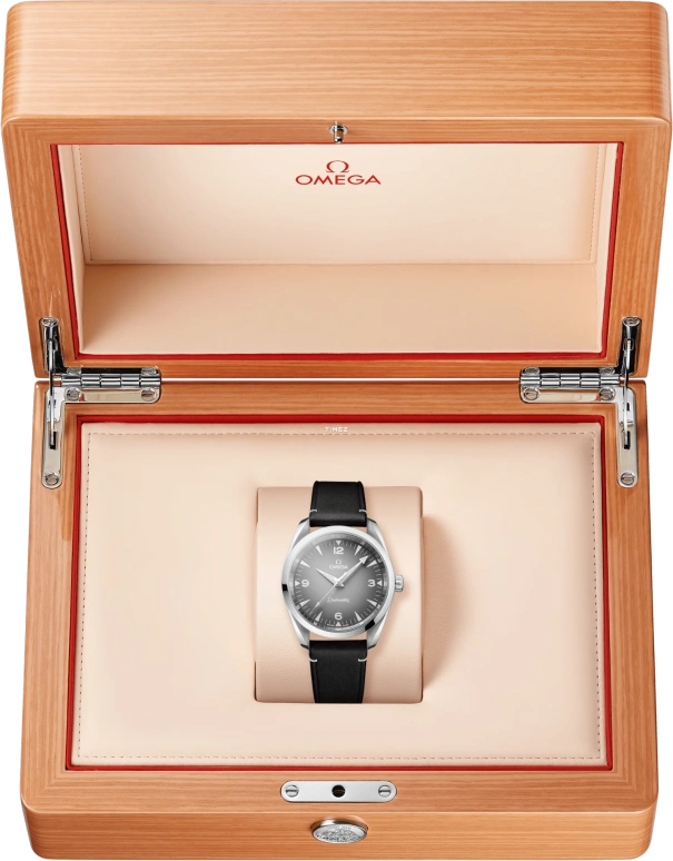 Omega,Railmaster 38mm,38mm,Stainless Steel,Grey,Automatic,Anti-magnetic,55hours,235,235.12.38.20.06.001