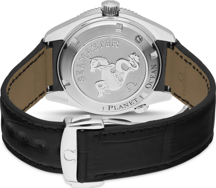 Omega,Seamaster Planet Ocean 42mm,42mm,Stainless Steel,Black,Automatic,Day,48hours,222,222.18.42.20.01.001