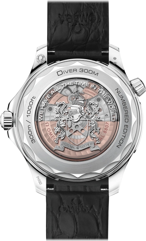 Omega,Seamaster Diver 300M 42mm,42mm,Platinum,Black,Automatic,55hours,In-house Caliber,210,210.93.42.20.01.001