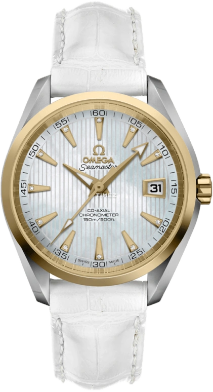 Omega Aqua Terra 231.23.39.21.55.002