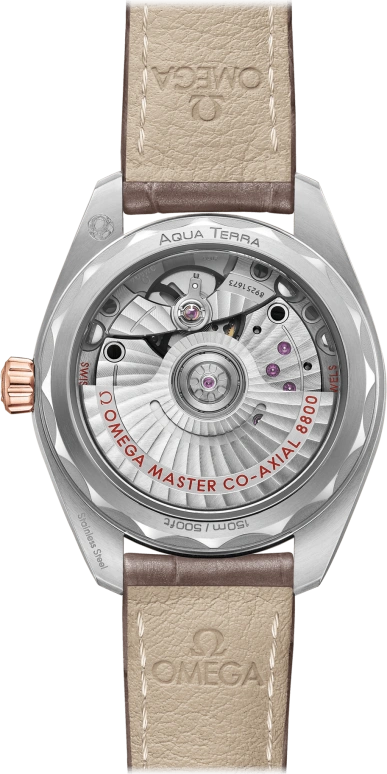 Omega,Aqua Terra 34mm,34mm,Sedna Gold,Stainless Steel,Grey,Automatic,Date,Co-Axial Escapement,220,220.23.34.20.06.001