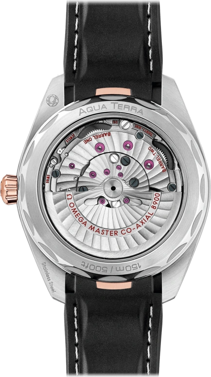 Omega,Aqua Terra 41mm,41mm,Sedna Gold,Stainless Steel,Silver,Automatic,Date,Co-Axial Escapement,220,220.22.41.21.02.001