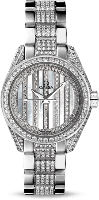 Omega Aqua Terra 231.55.30.20.55.003