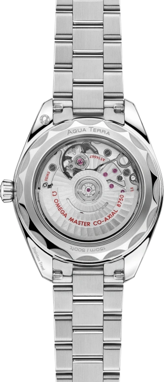 Omega,Aqua Terra 30mm,30mm,Stainless Steel,Black,Automatic,Day,Anti-magnetic,220,220.10.30.20.01.001