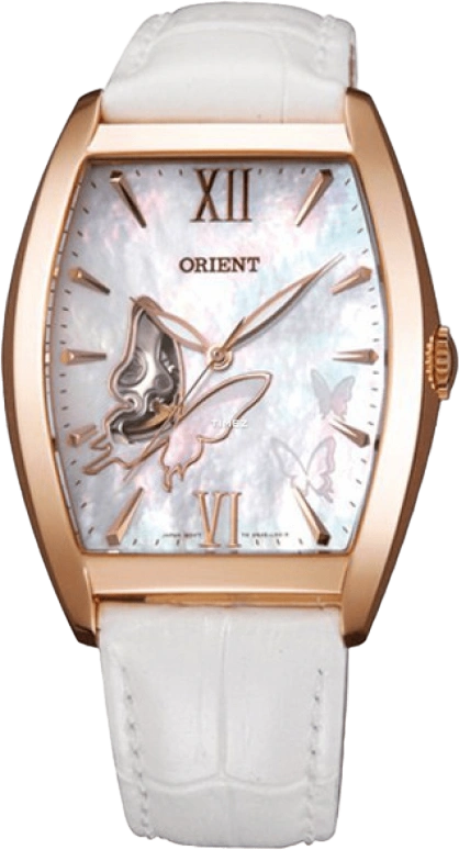 Orient Other FDBAE002W