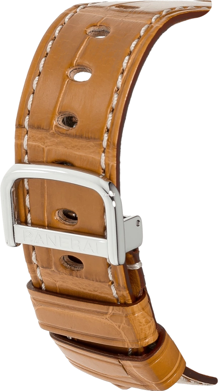 Panerai,Radiomir 45mm,45mm,Stainless Steel,Black,Automatic,Day,Dule Time,PAM00242